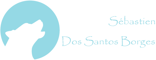 Sébastien Dos Santos Borges